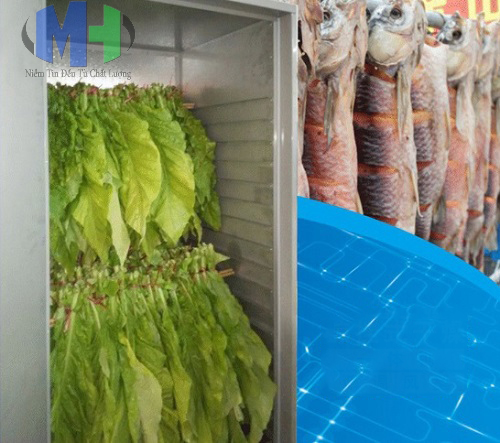 Tủ sấy khô lạnh WRH-100