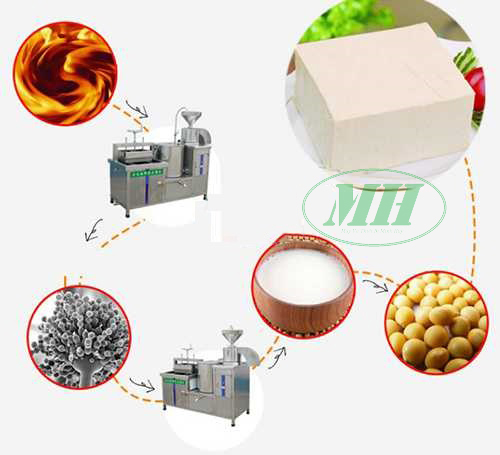 dây chuyền làm đậu