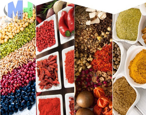 msy nghiền dược liệu