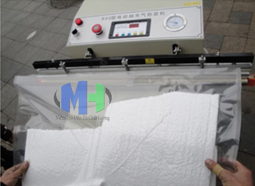 Máy hút chân không vòi ngoài VS 1000