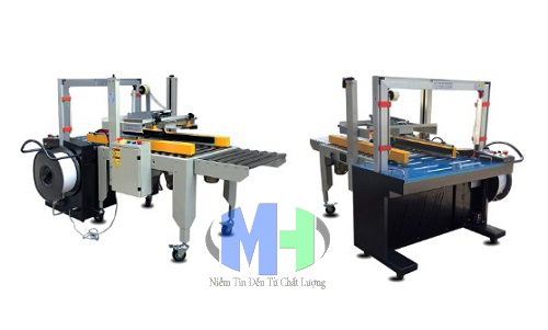 Máy dán và đai thùng carton