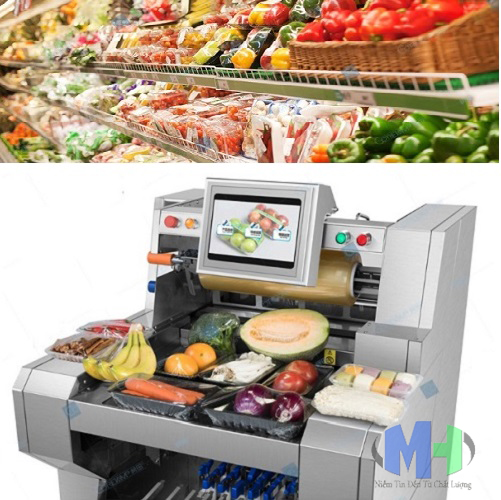 Máy bọc màng thực phẩm tự động