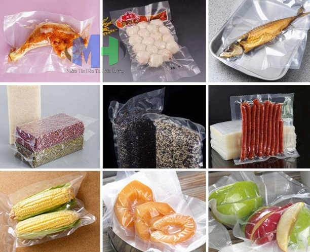 Máy hút chân không inox VS-600