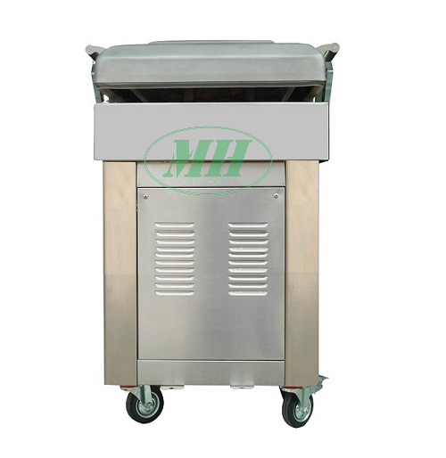 Máy hút chân không DZQ-500-2S