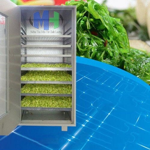 Tủ sấy khô lạnh WRH-100