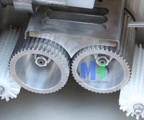 Máy làm viên hoàn tự động WZM-20