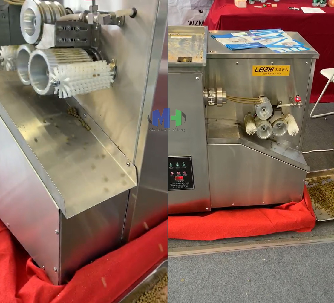 Máy làm viên hoàn WZM-15