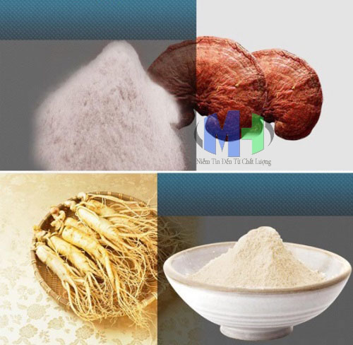 máy nghiền thảo dược