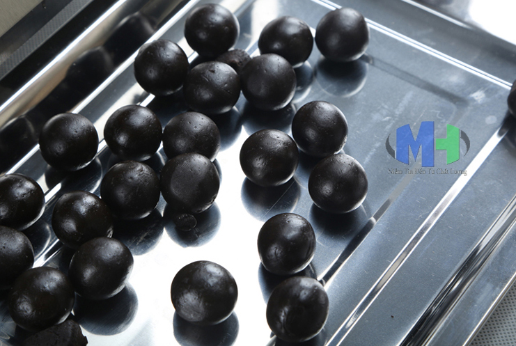 Máy làm viên hoàn WZM-15