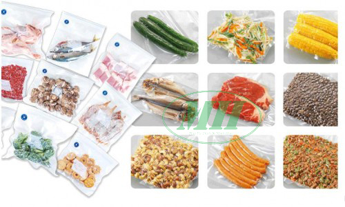 Máy hút chân không gia đình 300B