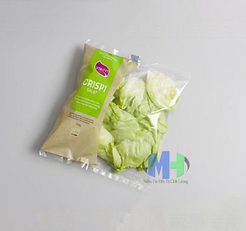 Máy dóng gói băng tải ngang KT-250