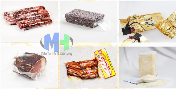 Máy hút chân không DZ-800