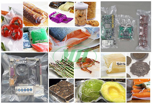 Máy hút chân không 2 buồng DZQ - 600 -2S