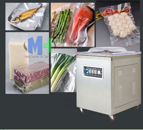 Máy hút chân không DZQ-600