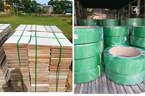 ứng dụng d&acirc;y đai pet