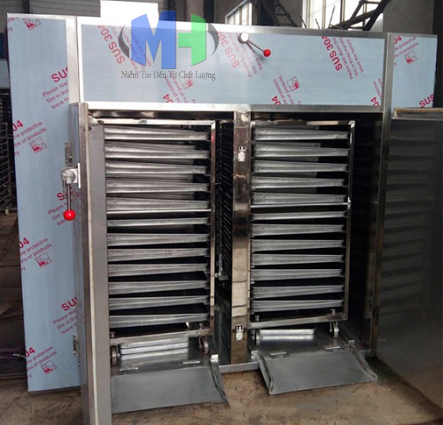 Tủ Sấy Tĩnh Công Nghiệp CT-CI (MHNS-D04)