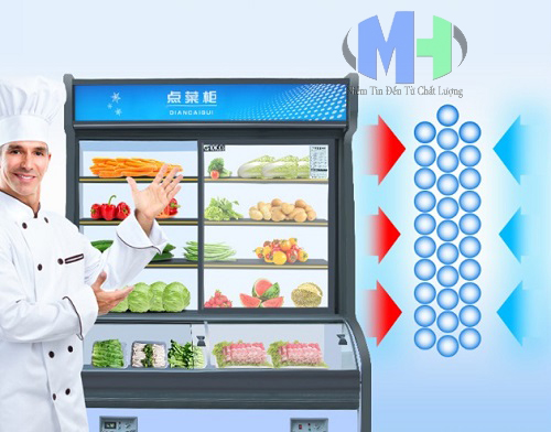 Tủ Mát Trưng Bày Rau Củ 1,2m (MHTB-A22)