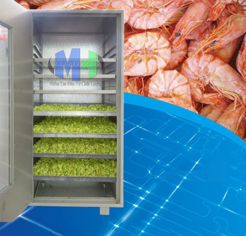 Tủ Sấy Khô Lạnh WRH-100 (MHNS-D07)