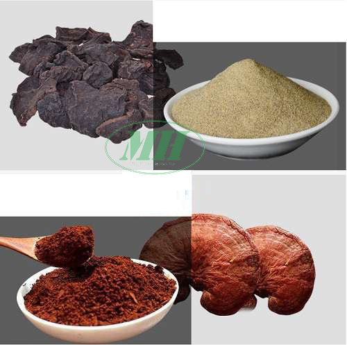 Máy Nghiền Bột Dạng Búa (MHLB-A05)