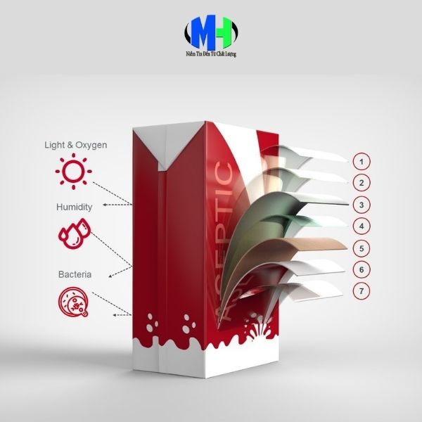 Cấu tạo cơ bản của màng ghép phức hợp