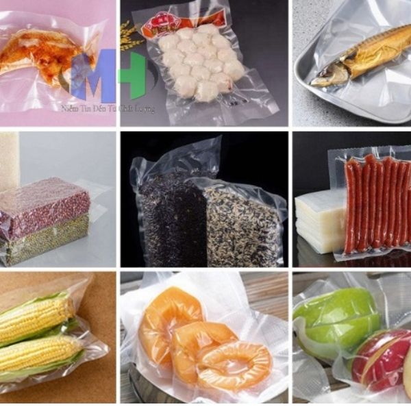 Tổng quan về các loại máy hút chân không