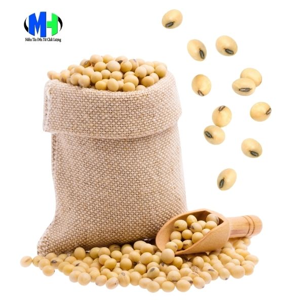 Cách sử dụng máy xay đậu nành hiệu quả
