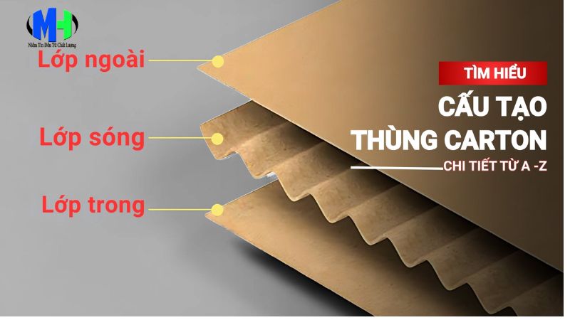 Cấu tạo th&ugrave;ng carton l&agrave; g&igrave;?