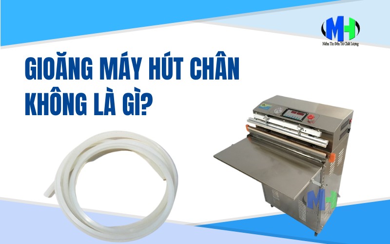 Gioăng máy hút chân không là gì? Khi nào cần thay?