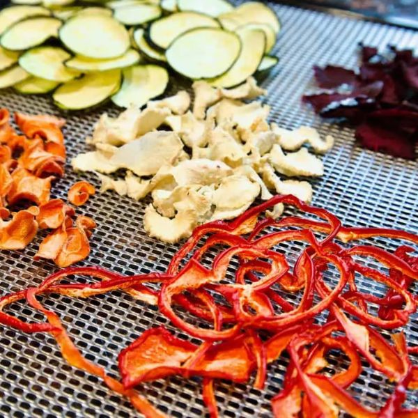 Tổng quan về máy sấy thực phẩm