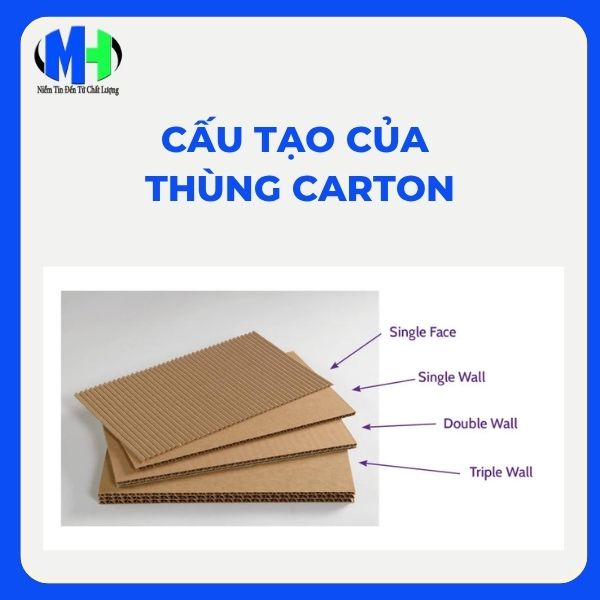Cấu tạo của th&ugrave;ng carton