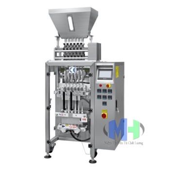 Máy Đóng Gói Tự Động 6 Line (MHĐG-G33)