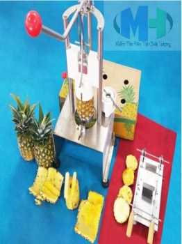 Máy Gọt Vỏ Dứa (MH-NS01)