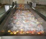 Dây Chuyền Rửa Dược Liệu, Rau Củ Quả